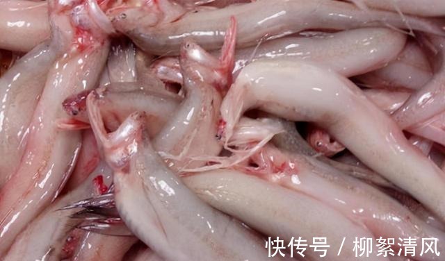 清蒸鲈鱼|上市场买鱼,这3种才是“营养首选”!一说名字老板便知你是行家!