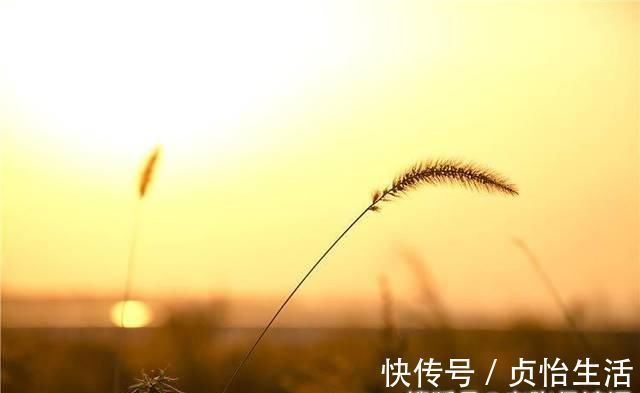 田园#宋代诗人只有一首古诗传世，28字当中，却有最美的田园夕阳