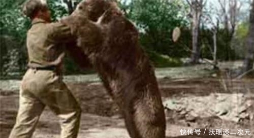 炮弹|二战唯一有军衔的棕熊:在前线扛炮弹,退伍后抽烟喝酒活得很滋润