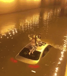 |搞笑GIF段子:徒手捞鱼的独门秘籍,不是谁都能学得来