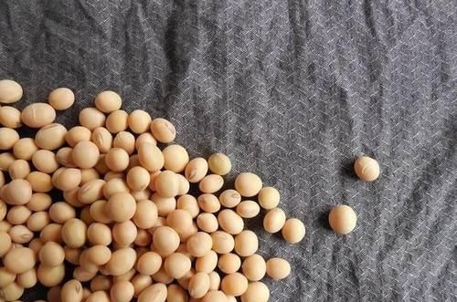 长高|要孩子长大个,4个影响因素很重要,孩子常吃这些食物有助于长高