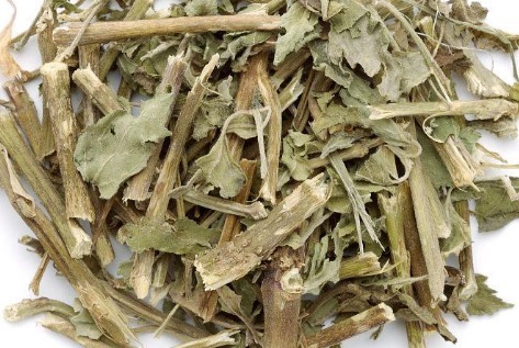 野草|一种比香水还香的野草,含一片叶子能除口臭,还是上等高钙菜!