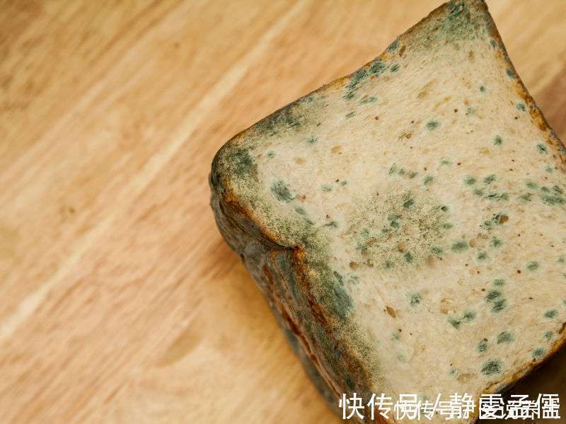 家里不起眼的地方,竟是霉菌藏身地,不想得病,劝你勤快点