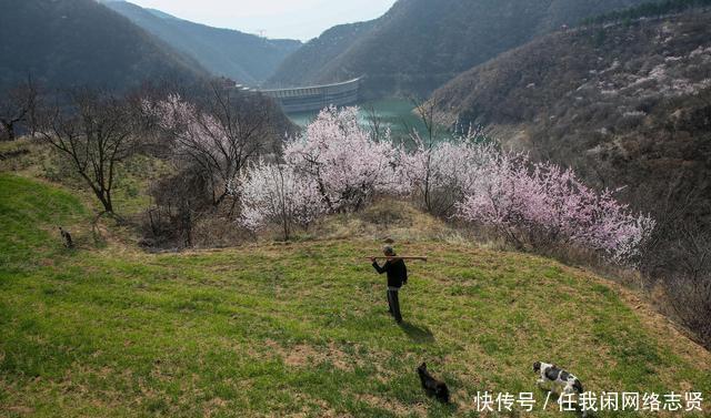 无人机在晋南大山发现桃花岛，7旬老夫妻隐居山中生活让人羡慕