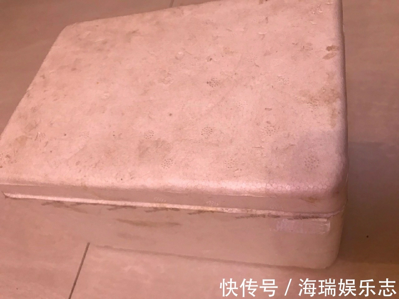 无花果|无花果扦插不生根关小黑屋几天，小白根冒不停