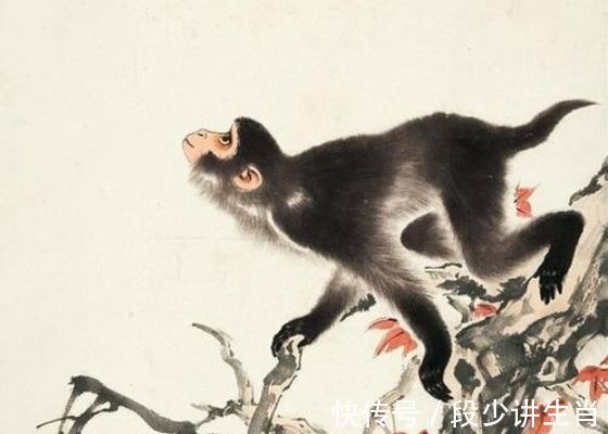 人为人|未来3个月,霉运尽散,谷底翻身,正财偏财聚集的3大生肖