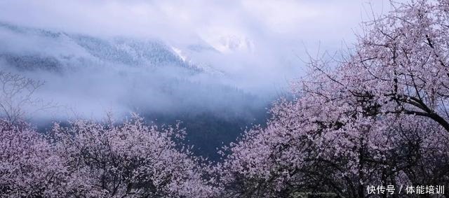 做一桌玫瑰,送给我最爱的你们~