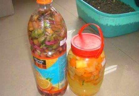 绿色植物|养花还买花肥家里的此几样“垃圾”扔盆里,植物叶油绿、开花艳