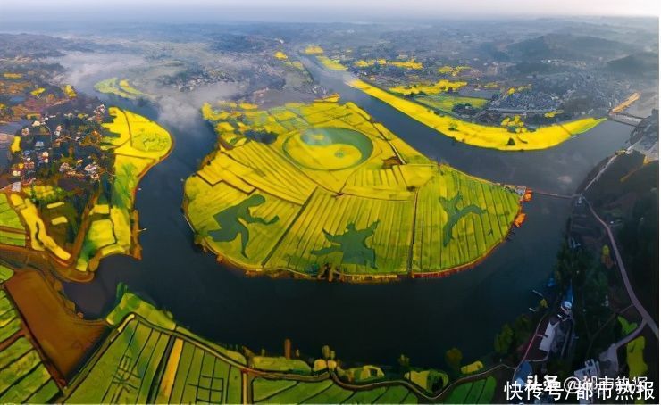 山水|新增1万平米彩色花海迷宫，潼南菜花节26日开幕