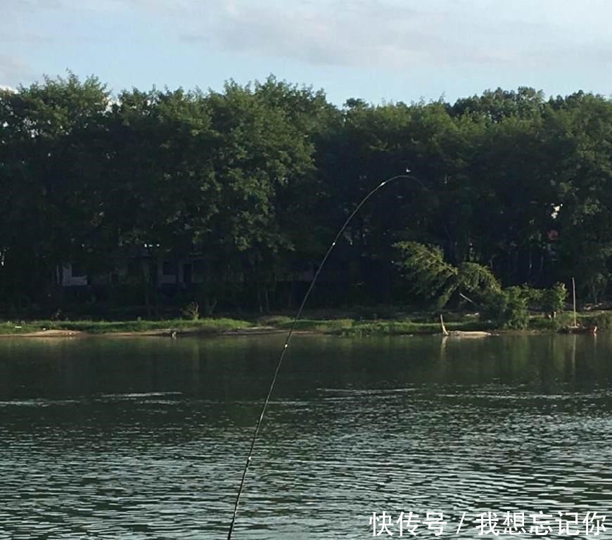 公园钓鱼,鱼竿被拖下水,游泳扛回,发现鱼还在!