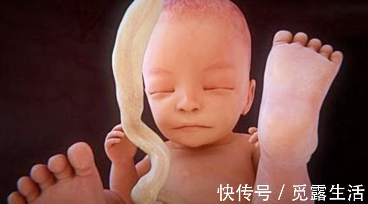 孕期|在孕期,胎动频繁的宝宝是不是性格很调皮?性格娘胎里就已经定了