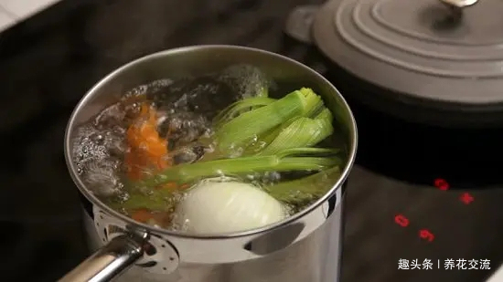 在家里养花时，肥皂水、鸡蛋壳或煮菜的水别丢，是可以用来养花的