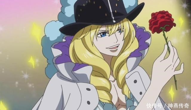 海贼王草帽海贼团七大队长，一人已大将水平