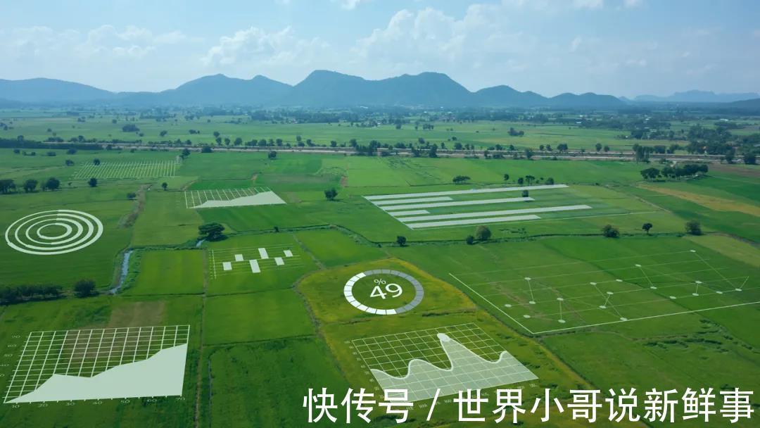 碳基|阿里达摩院:2021十大科技趋势!