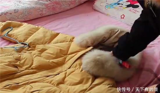 水洗过的羽绒服羽绒总是成坨?学会一招,羽绒快速蓬松起来