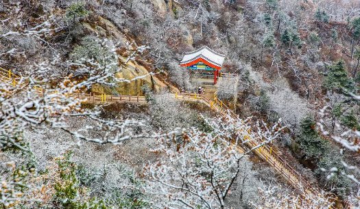  大雪|【鸢都壁纸】今日，大雪！