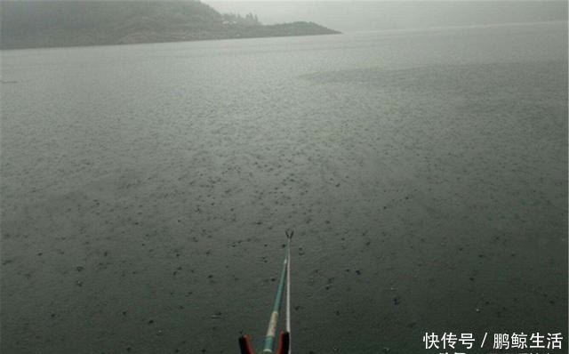下雨天|春钓阴雨雾,下雨天钓鱼,钓位应该这样选,跟晴天完全不同