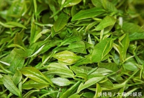 口臭|口臭“天然药”找到了，经常吃一点，调理肠胃，口臭慢慢消失