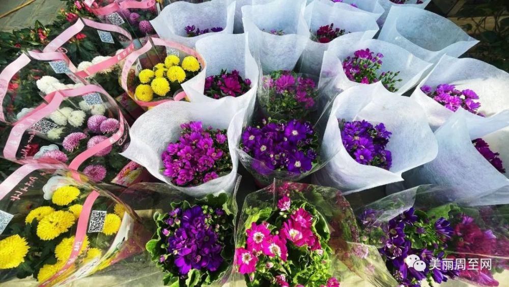 老城|周至县城有条街，叫面粉厂巷子...