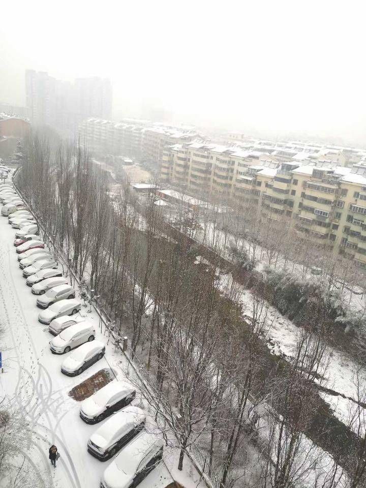 泉城赏雪！五律?泉城赏雪