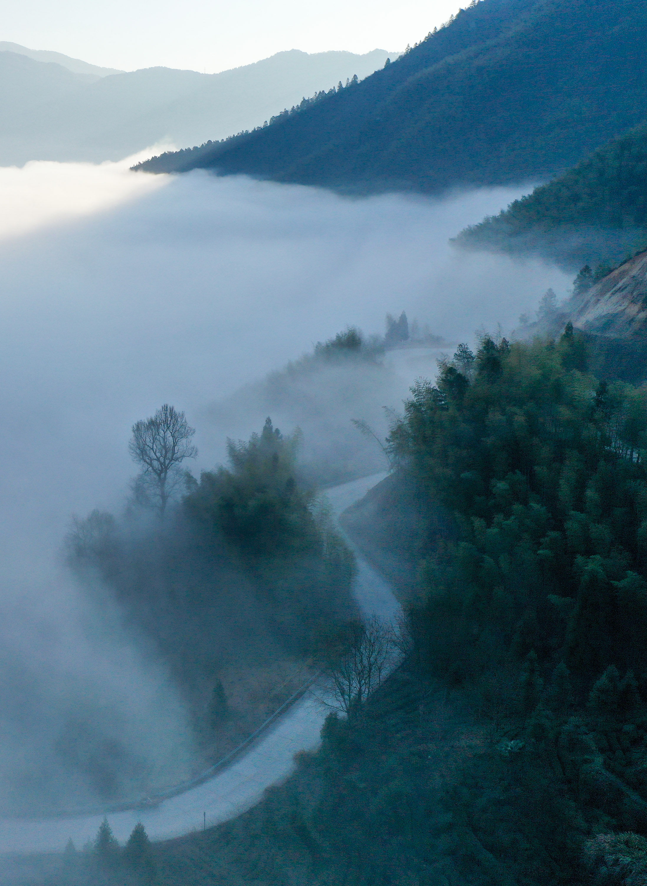 大年|景宁：网红公路兴畲寨