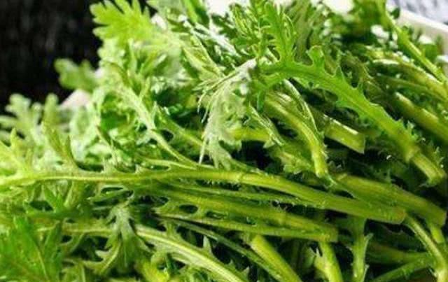 湿气|湿气的“冤家”被发现了,夏天常吃4种食物,或助你排出体内湿气