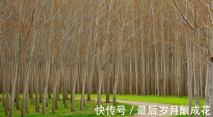 见解|哪些月份出生的人，拥有独到见解，善于抓住机遇，来年能平步青云