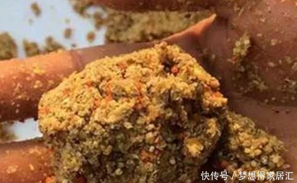  要注意|大雪过后钓鲫鱼，如何聚鱼才是关键，打窝养窝和补窝缺一不可