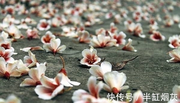 望敬亭山$史上最惊艳的五绝是哪10首？篇篇精彩，《望敬亭山》都望尘莫及