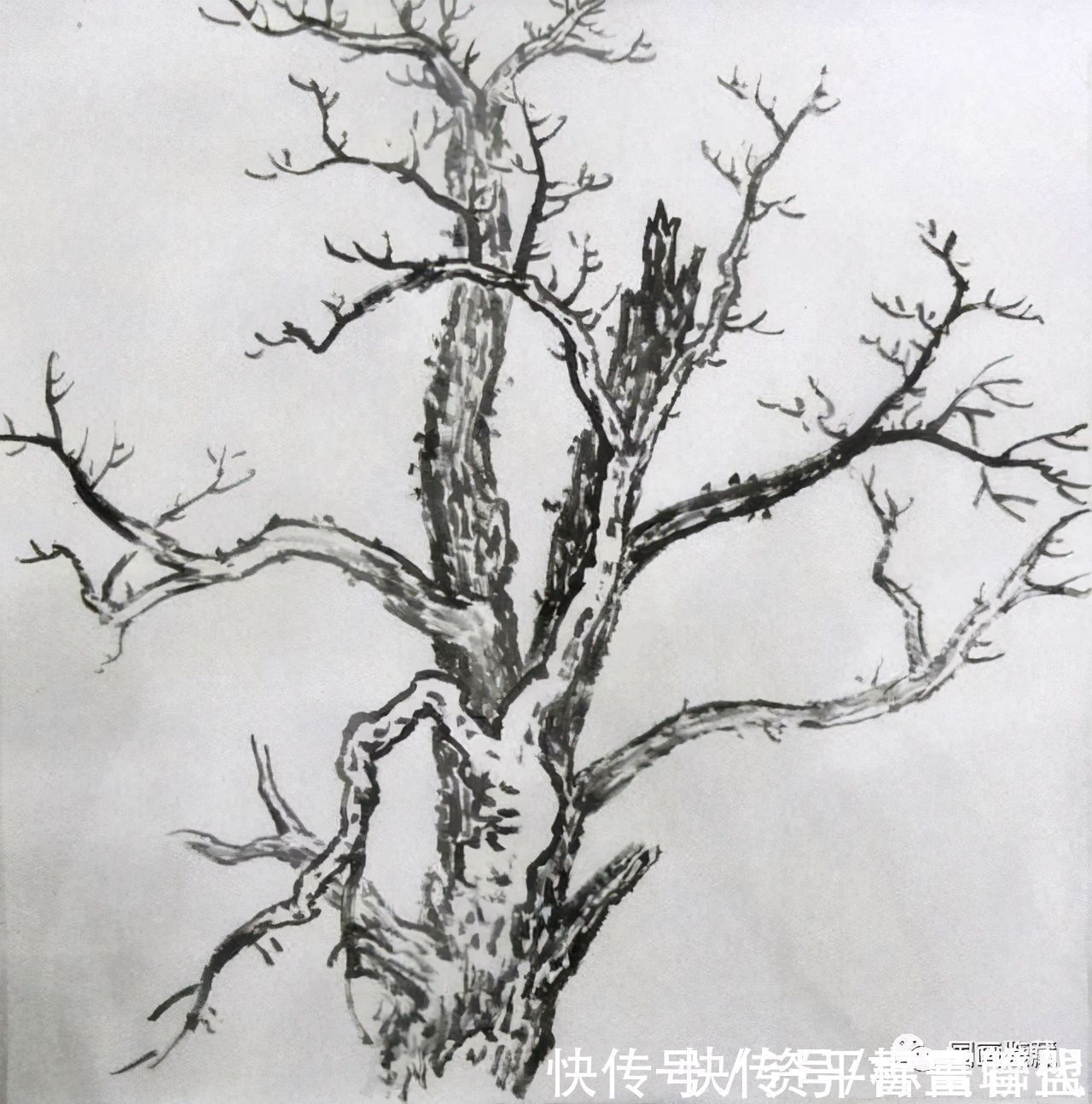 柳树#中国画如何画松树、丛树、柳树、竹林,中国画树的画法大全