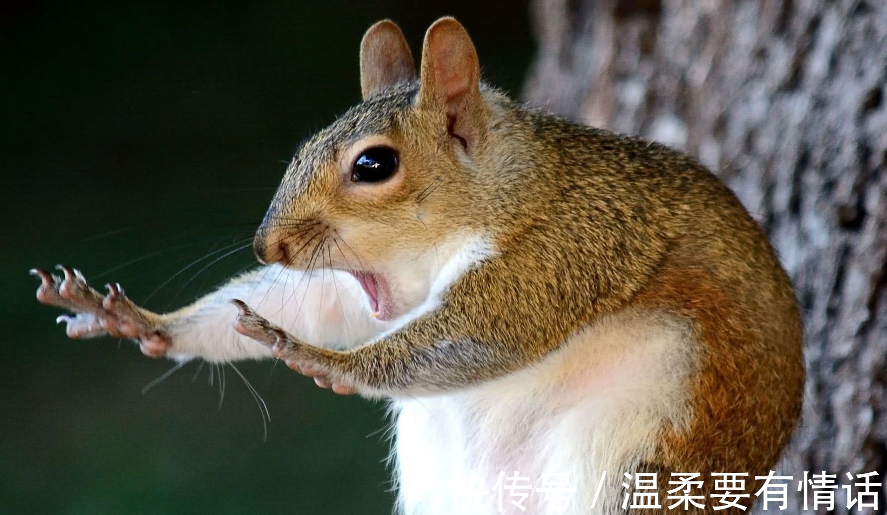 |笑话十则:你请客吗?你请客我和我对象陪你去!