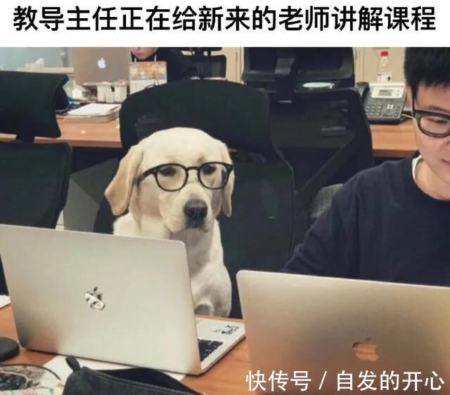 |「被窝段子20220131」生活嘛 慢慢来 所有的好运都在路上