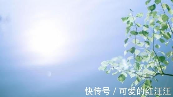 过往|8月底，爱人背叛，无法宽恕，不再联系，绝情离去，爱恨皆成过往