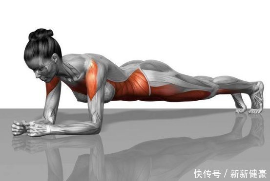 肌群|坚持平板支撑30天,身体会发生惊人变化，让我们一起来学习一下