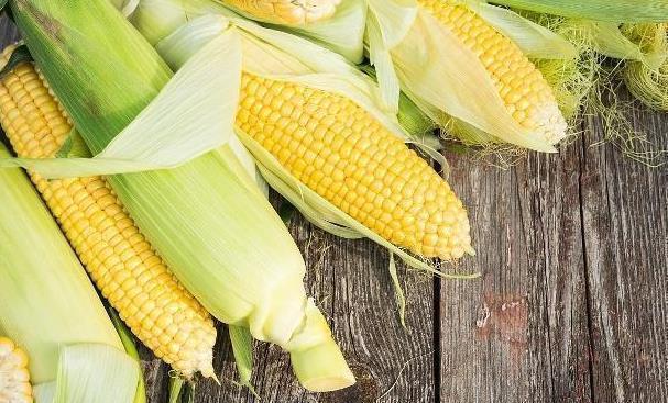 血压|94岁中医血管才20岁,他说常吃5种食物,可养护心脏、平稳血压