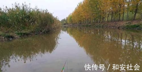 钓灵|天冷钓不到鱼?那是策略不对路子,5个调整策略,助你板鲫连竿上