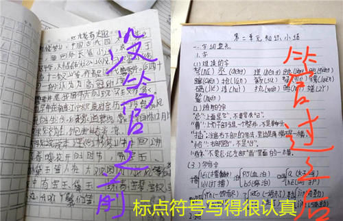 孩子写作业时字太丑，“挨训”后标点符号都变了，这是转换字体？