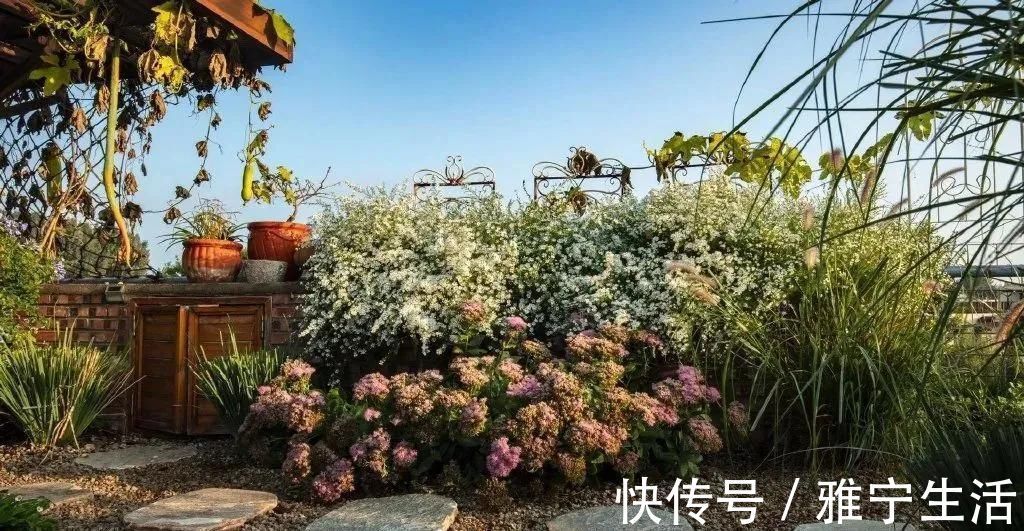 大花园|退休夫妻花4年改造自家老房，建3000㎡大花园，住在人间仙境里