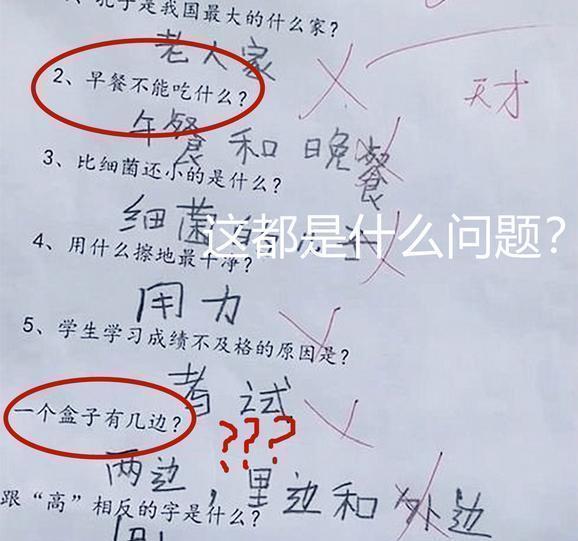 小学生倒数第一试卷走红，老师看完哭笑不得：想判错又好像没错