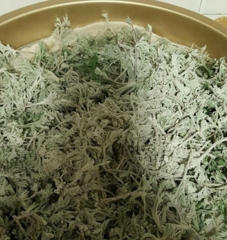 克星|这种野菜被称为癌症的克星，这个季节建议你多吃！