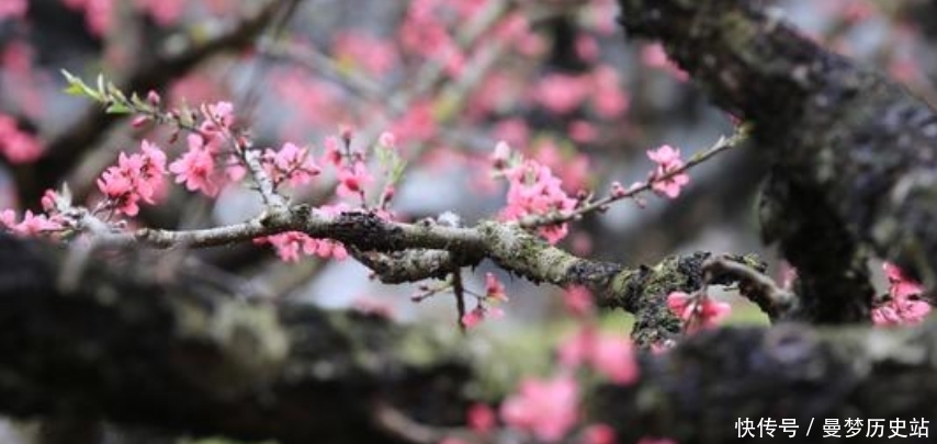  真实|既没有八个老婆，也没有点中秋香，还原历史上真实的唐伯虎！