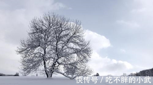 诗人$罗隐的一首《雪》,短短八句话,不提一个雪字,却细腻逼真