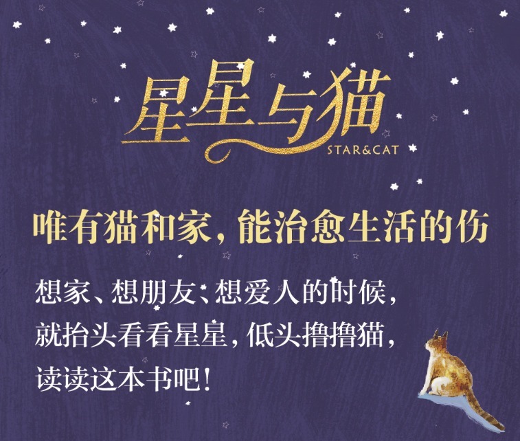 暖灯@《星星与猫》刘小备:记忆里绵长的味道,也将是照亮未来的暖灯