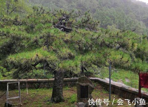 泰山|1919年的泰山老照片，百年前便有抬杆轿夫，从不缺顾客