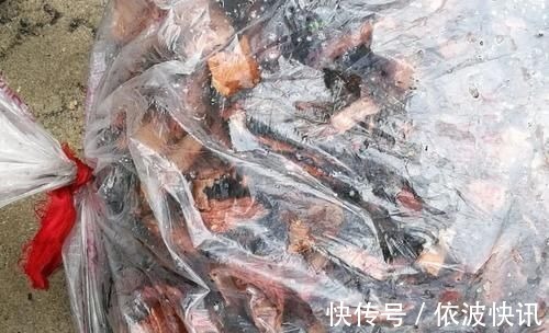 兰友|营养土的自制方法,兰友说:这样就简单了,明天开始做