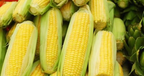 玉米和此物煮一煮，睡眠好了、皺紋淡了，女人不想顯老可以試試