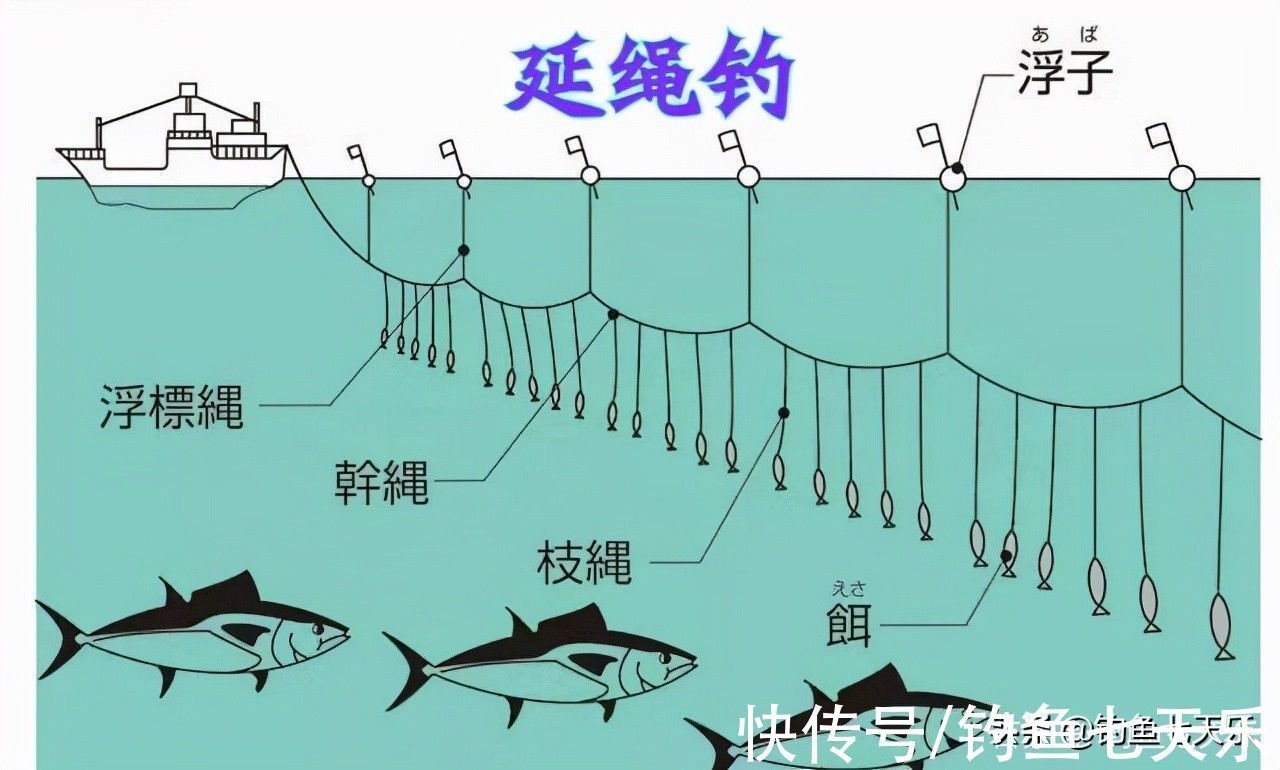 禁用|注意！12月1日起，这四类渔具将被禁用，钓鱼人要注意了