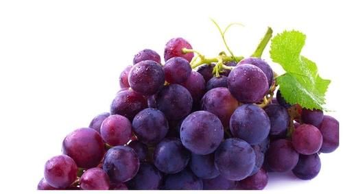 胡萝卜素|女性备孕适合吃什么水果，一起来了解一下！