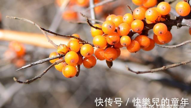 脾虚|6岁女童脾虚积食，医生：3种食物是积食“助手”，尽量少喂娃