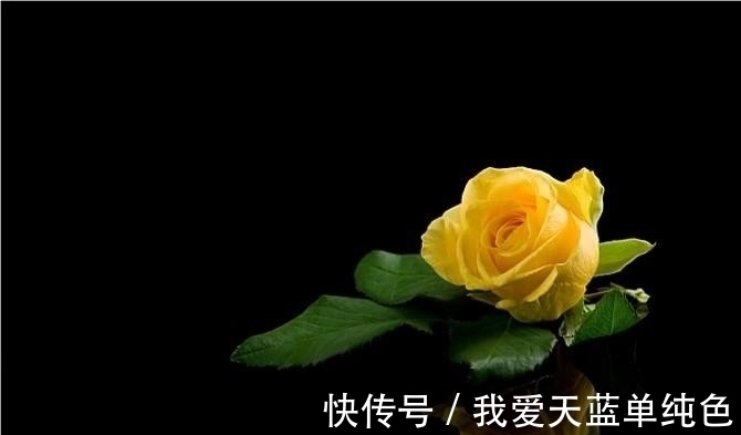 生肖|还有9天，缘分桃花齐上阵，对爱情刮目相看的4大生肖